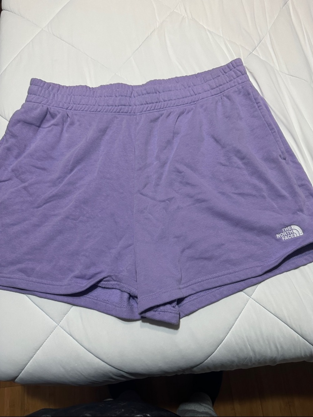 The North Face Women's Lavender Athletic Shorts